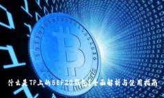 什么是TP上的BEP20钱包？全面解析与使用指南