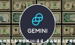   小狐狸钱包如何实现SOL通道：全面解析与使用指