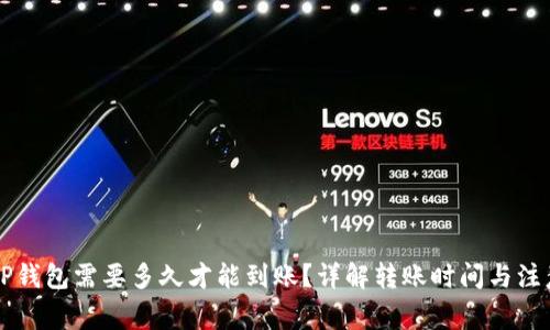 转到TP钱包需要多久才能到账？详解转账时间与注意事项