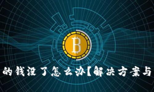 TP钱包里的钱没了怎么办？解决方案与应对措施