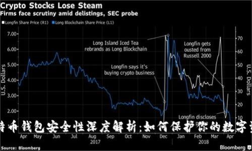 比特币钱包安全性深度解析：如何保护你的数字资产