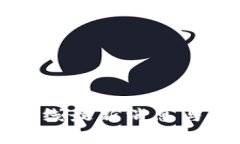 TP钱包上线最新消息与功能分析