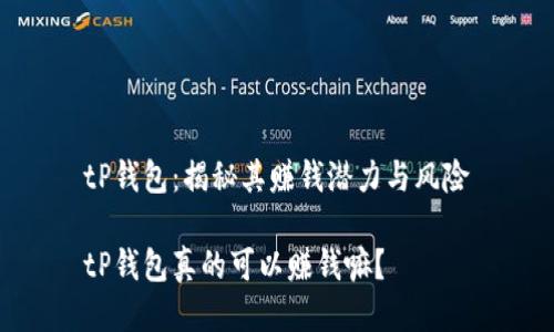 tP钱包：揭秘其赚钱潜力与风险

tP钱包真的可以赚钱嘛？
