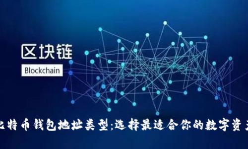 全面解析比特币钱包地址类型：选择最适合你的数字资产存储方案