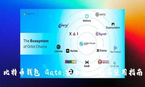 比特币钱包 Gate：安全性、功能与使用指南