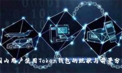 国内用户使用Token钱包的现状与前景分析