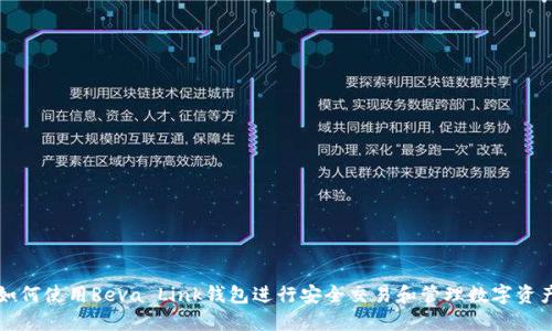 如何使用Reva Link钱包进行安全交易和管理数字资产