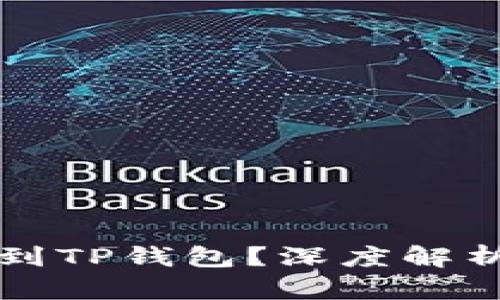 为什么找不到TP钱包？深度解析与解决方案